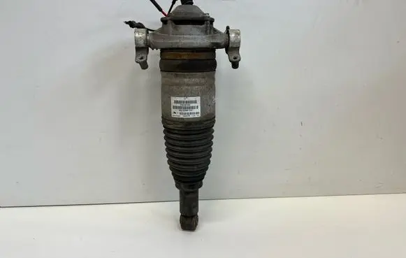 Porsche Cayenne (92A) Rear shock absorber/damper 7P5616019AK 7P5616503AF
