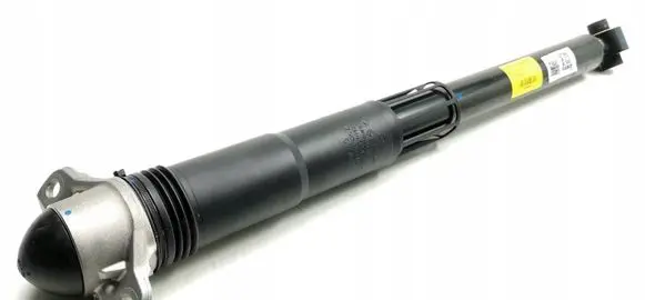 Seat Tarraco Rear shock absorber/damper 5QN513049BG
