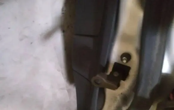 Lexus IS 220D-250-350 Rear door check strap stopper