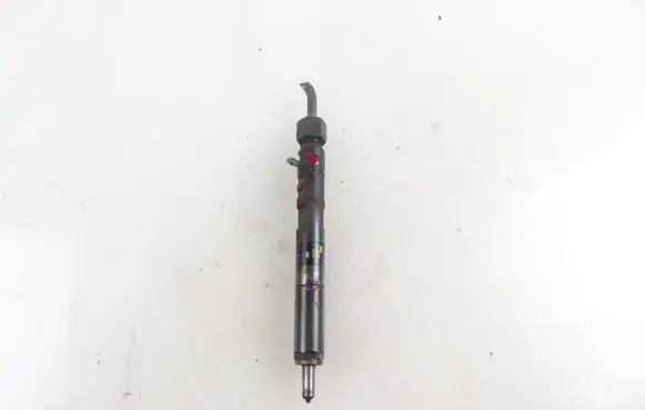 Ford Focus Fuel injector EJBR02201Z 2T1Q9F593AA
