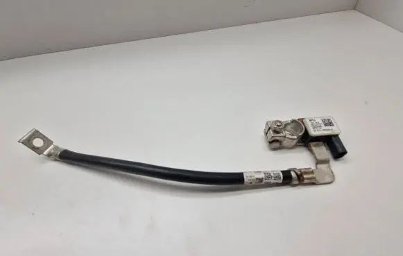 BMW X3 G01 Negative earth cable (battery) 8795892
