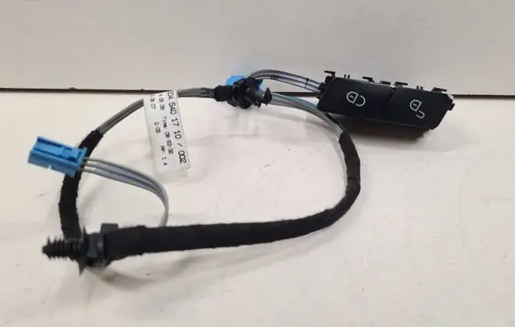 Central locking switch button