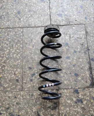 Rear coil spring