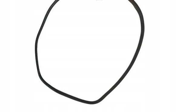 Mercedes-Benz B W246 W242 Front door rubber seal A2466920076
