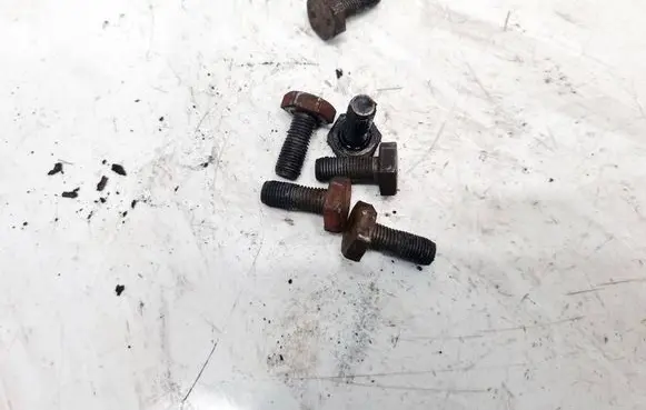 Renault Scenic I Nuts/bolts 