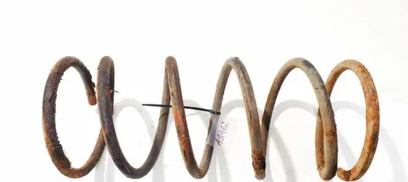 Mitsubishi Pajero Sport I Rear coil spring