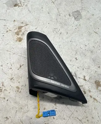 Front door high frequency speaker