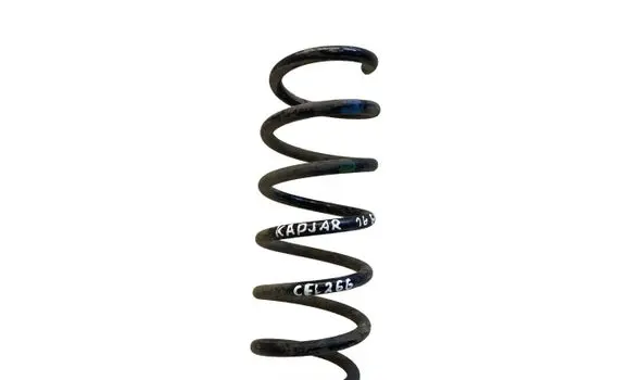 Renault Kadjar Rear coil spring 