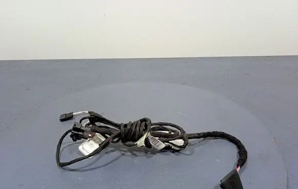 BMW X3 E83 Other wiring loom 5A20952