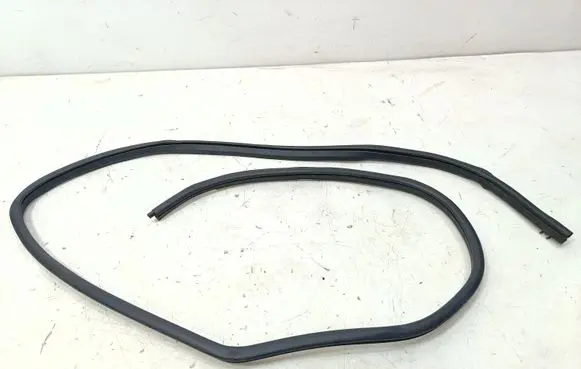 Nissan Qashqai Rear door rubber seal (on body) 769234EA0A