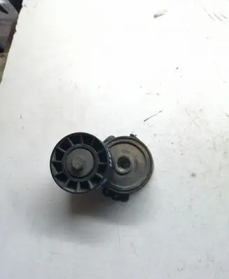 Peugeot 407 Timing belt/chain tensioner 505424