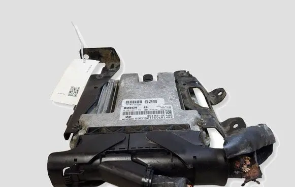 Hyundai Santa Fe Engine control unit/module 391182F440 391032F440 0281017541