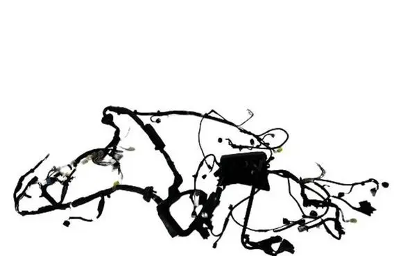 Engine installation wiring loom
