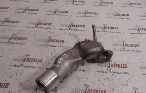 Thermostat/thermostat housing
