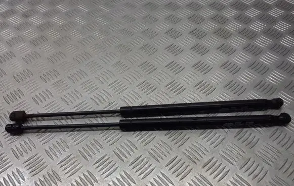 Renault Scenic II - Grand scenic II Tailgate hydraulic set 