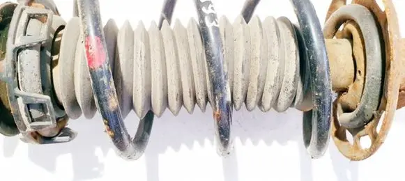 Front coil spring