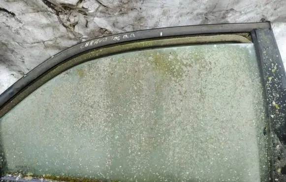 Fiat Bravo - Brava Rear door window glass