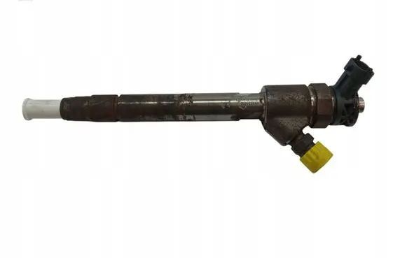 Citroen C3 Fuel injector 0445110955
