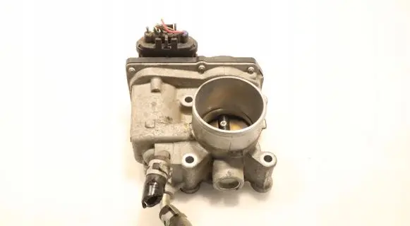 Throttle body valve