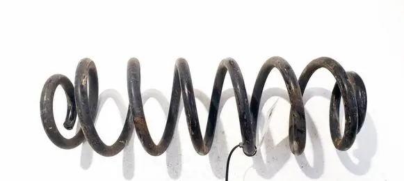 Volkswagen PASSAT B6 Rear coil spring 