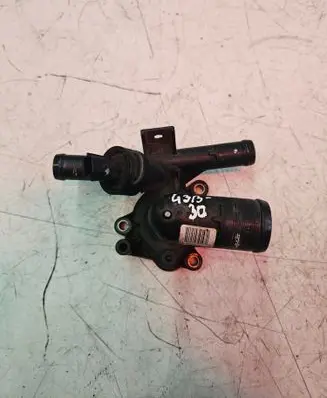 Renault Master III Thermostat 8200978549