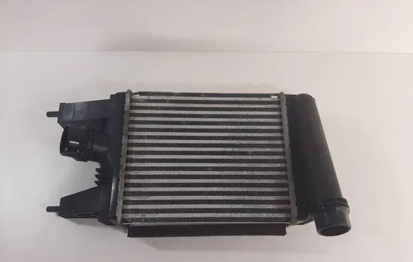 Nissan Juke I F15 Intercooler radiator 144613ZU0B