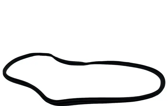 Citroen DS5 Front door rubber seal