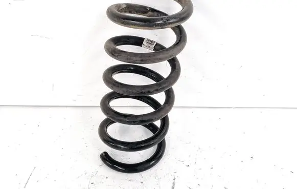 Rear coil spring