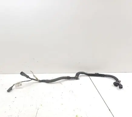 Other wiring loom