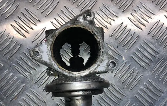 Seat Altea EGR valve 038131501