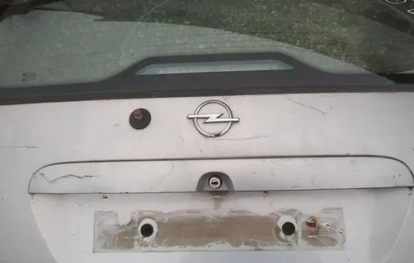 Trunk door license plate light bar