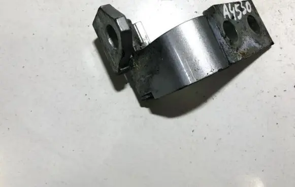 Rear door lower hinge
