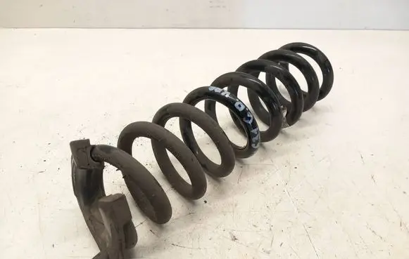 Rear coil spring