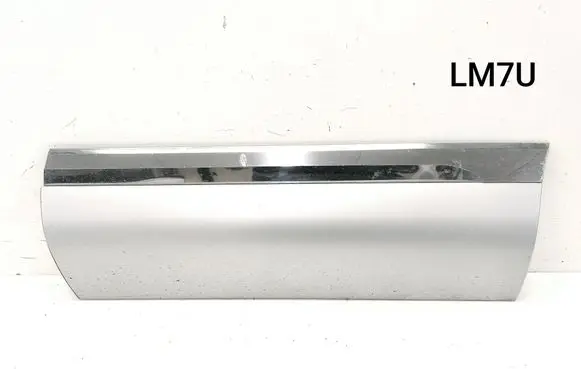Rear door trim (molding)
