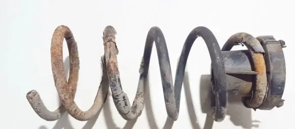Fiat Punto (188) Rear coil spring 