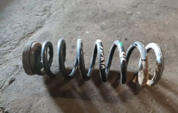 Hyundai Sonata Rear coil spring