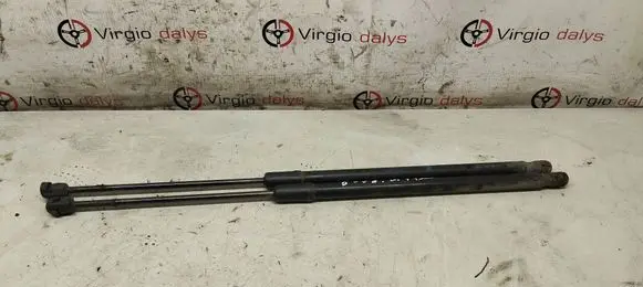 Peugeot 5008 Tailgate/trunk strut/damper 3689ZL