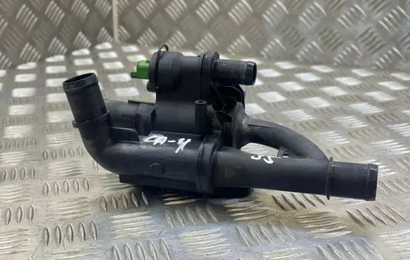 Thermostat/thermostat housing