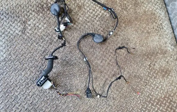 Front door wiring loom