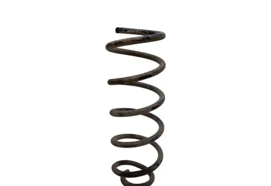 Rear coil spring