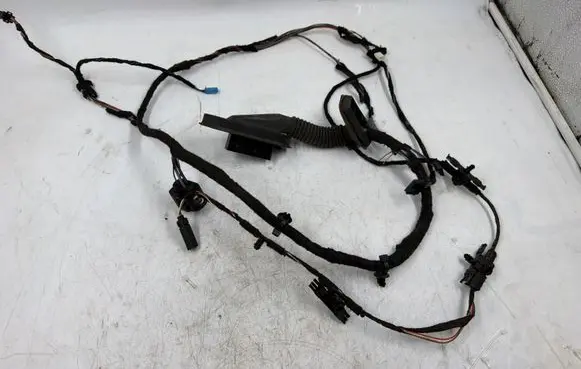BMW X1 E84 Front door wiring loom 9191809