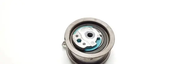 Volkswagen PASSAT B6 Timing belt/chain tensioner 979608