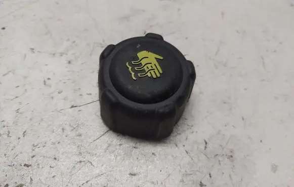 Renault Kangoo II Coolant expansion tank/reservoir cap 