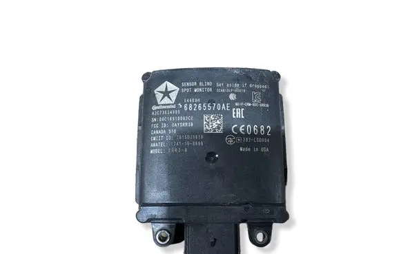 Blind spot module