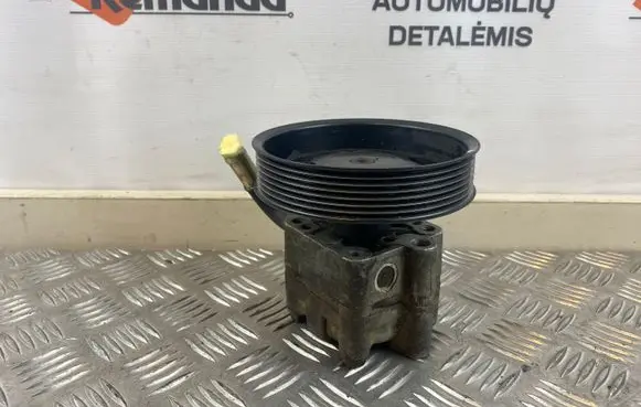 Suzuki Grand Vitara II Power steering pump 4910067J00