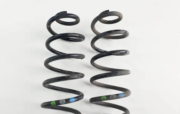 Rear coil spring