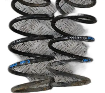 Volkswagen Polo IV 9N3 Rear coil spring F118500801VA