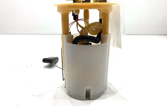 Renault Megane IV In-tank fuel pump 172027799R