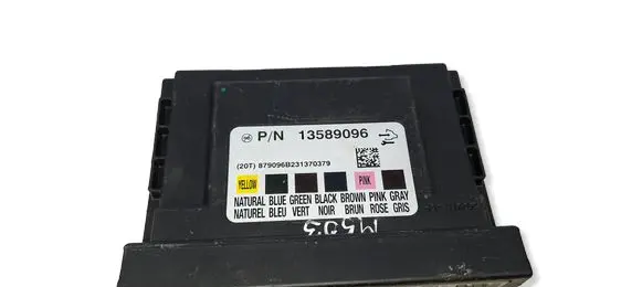 Chevrolet Aveo Comfort/convenience module 13589096 879096B231370379