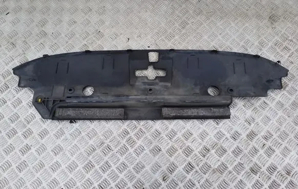 Engine bonnet/hood lock trim molding